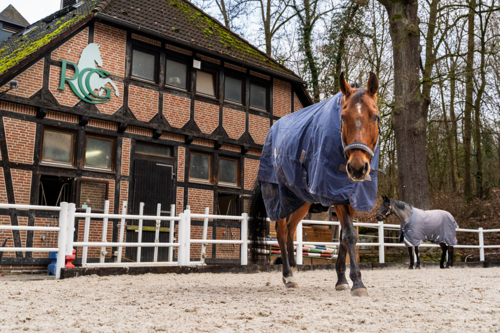 reitclub grunewald 2025 11