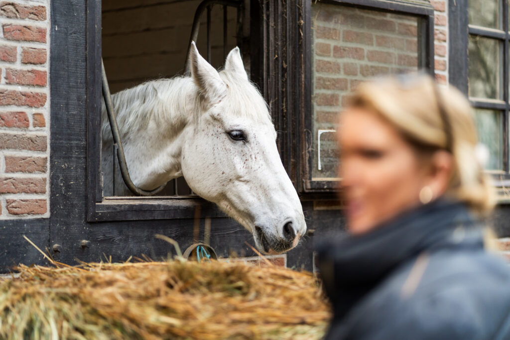 reitclub grunewald 2025 24