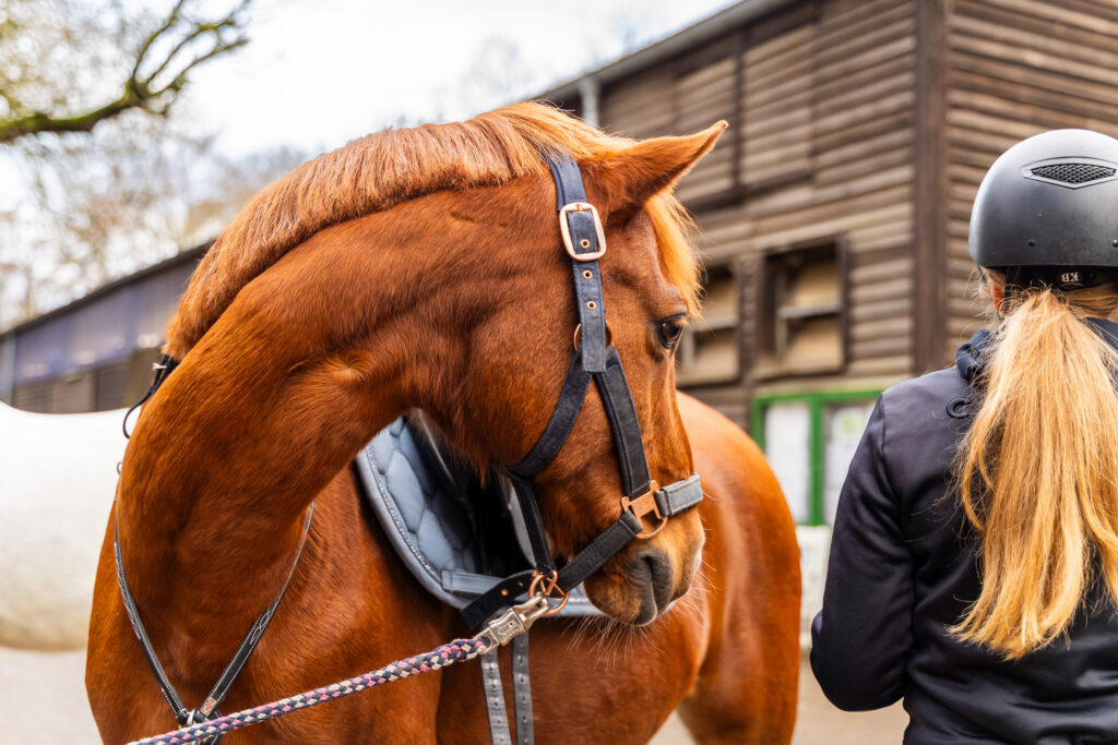 reitclub grunewald 2025 52