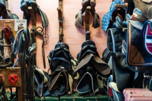 reitclub grunewald 2025 6