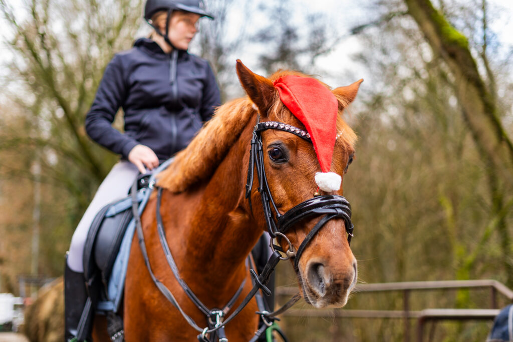 reitclub grunewald 2025 60