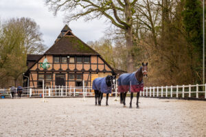 reitclub grunewald 2025 71