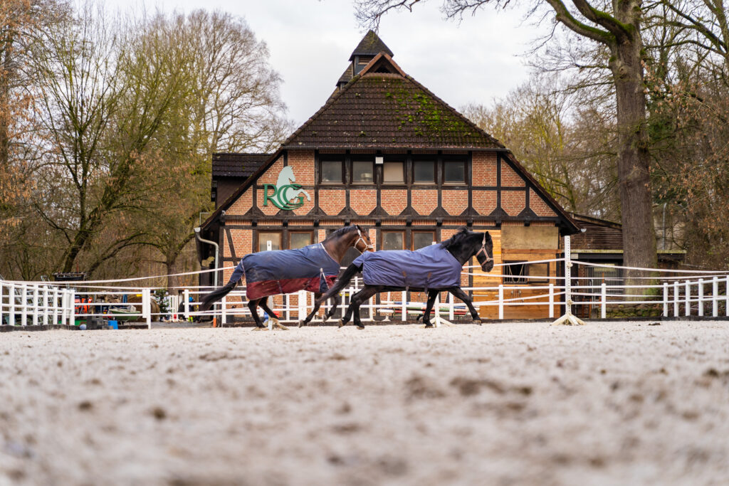 reitclub grunewald 2025 73