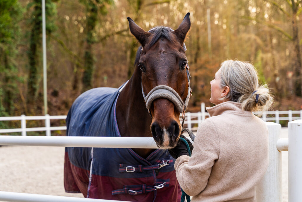 reitclub grunewald 2025 78