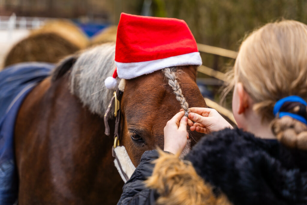 reitclub grunewald 2025 79