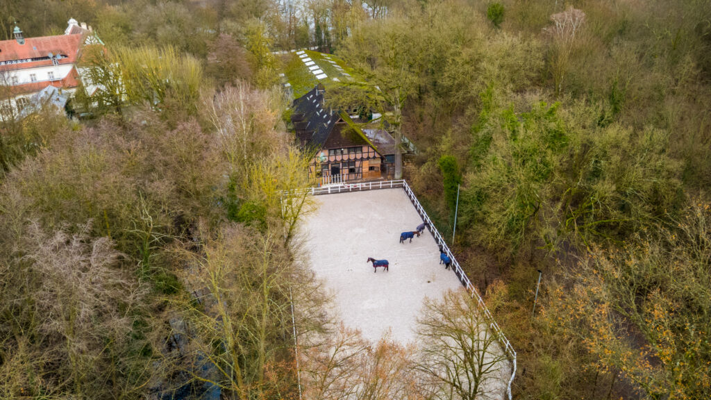 reitclub grunewald oben 2025 1