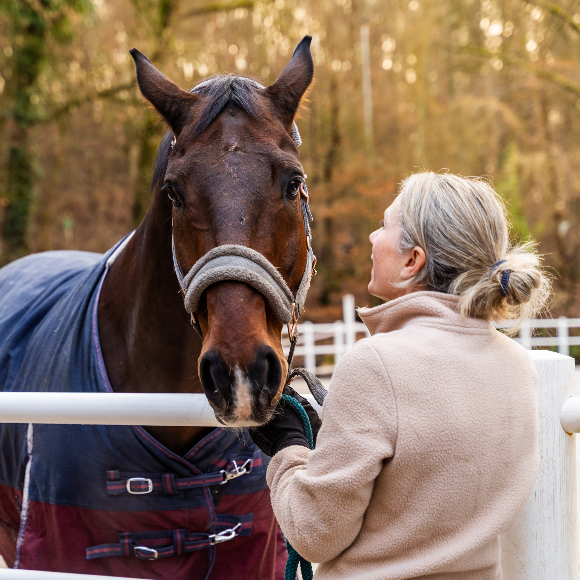 reitclub grunewald 2025 78 1 1