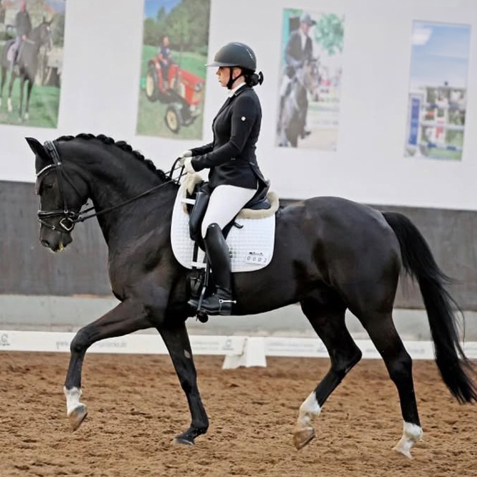 Emilia Noe Pferd 1 12